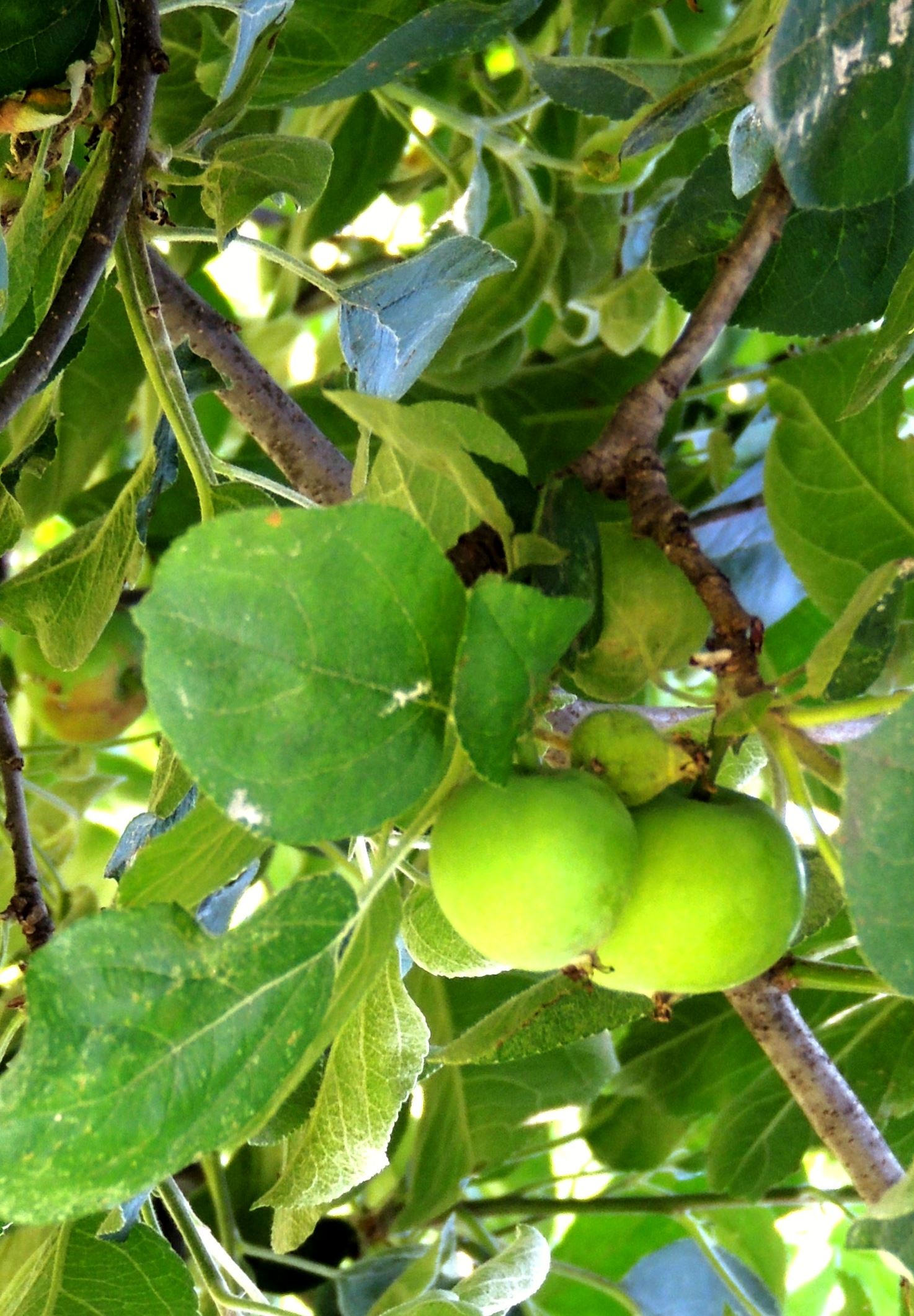 Taken by Lisa Eccleston